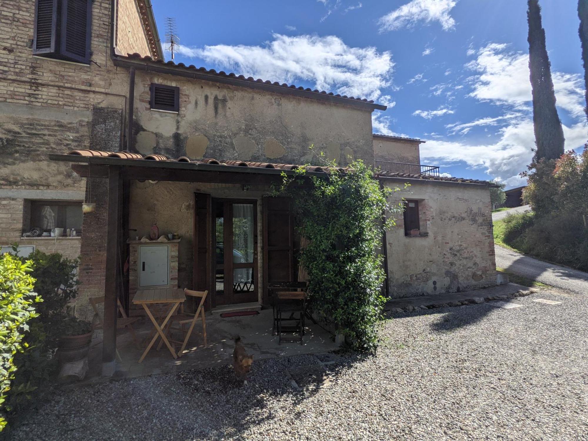 Agriturismo Biofattoria L'Upupa Монтальчино Экстерьер фото