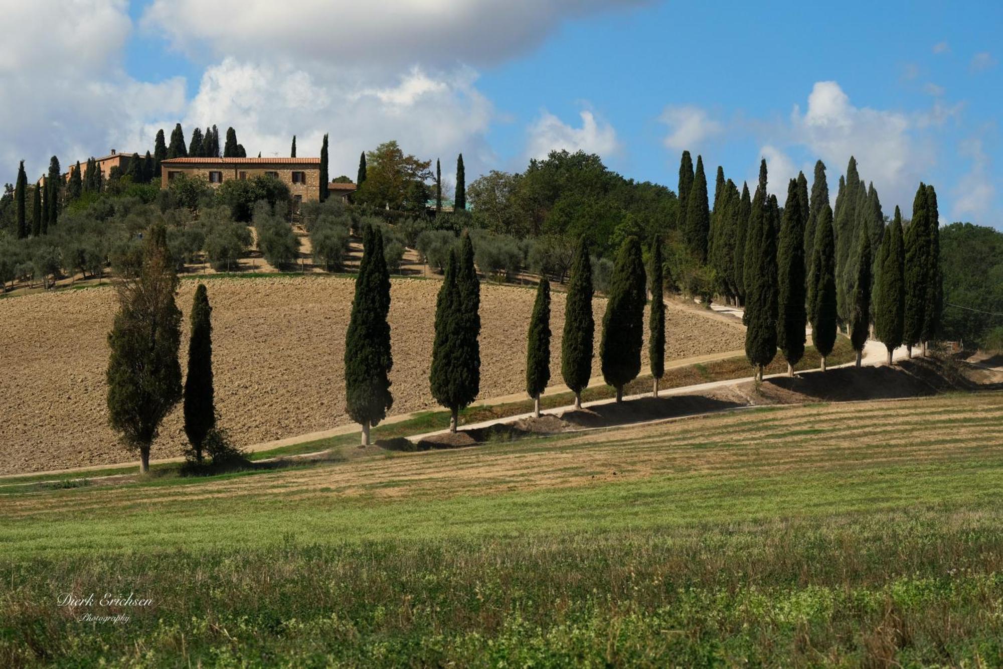 Agriturismo Biofattoria L'Upupa Монтальчино Экстерьер фото