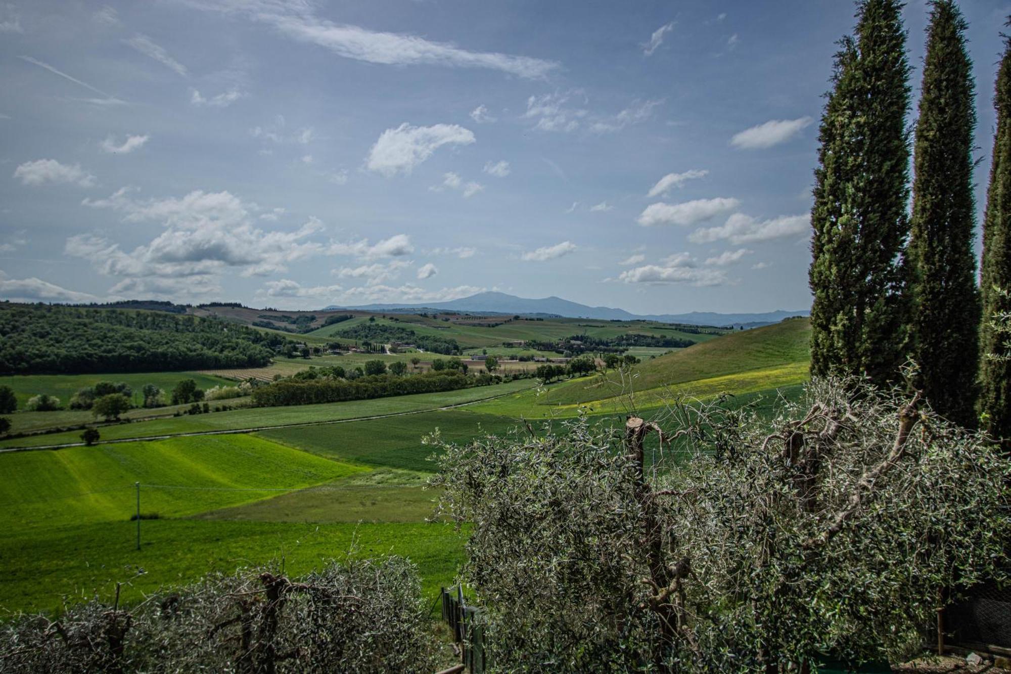 Agriturismo Biofattoria L'Upupa Монтальчино Экстерьер фото