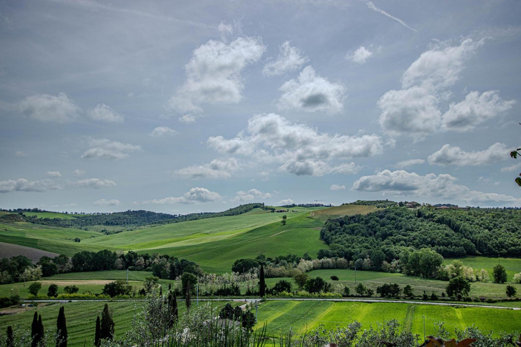 Agriturismo Biofattoria L'Upupa Монтальчино Экстерьер фото