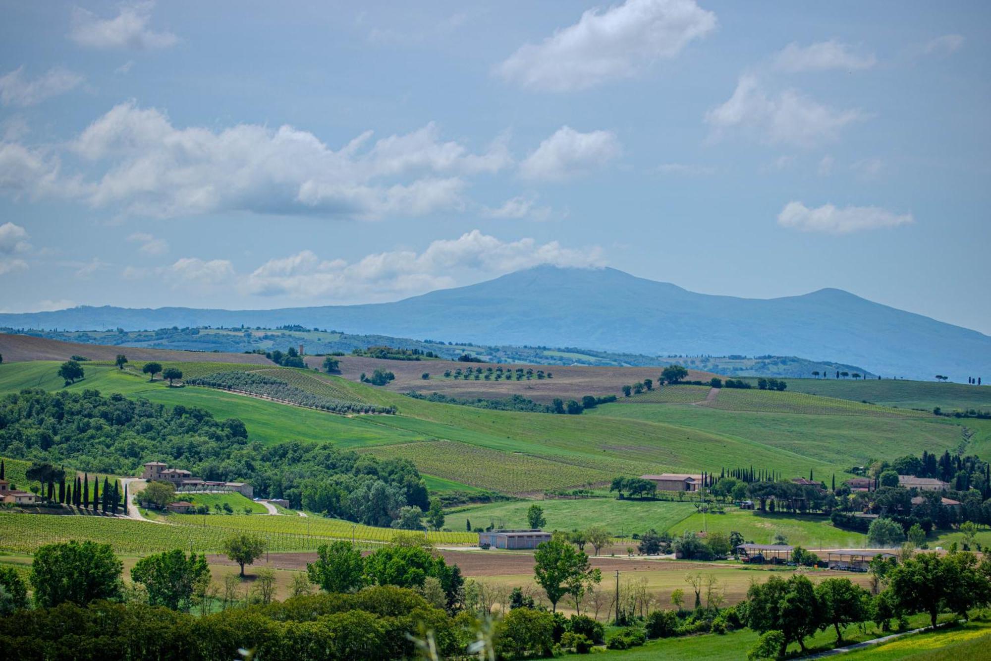 Agriturismo Biofattoria L'Upupa Монтальчино Экстерьер фото