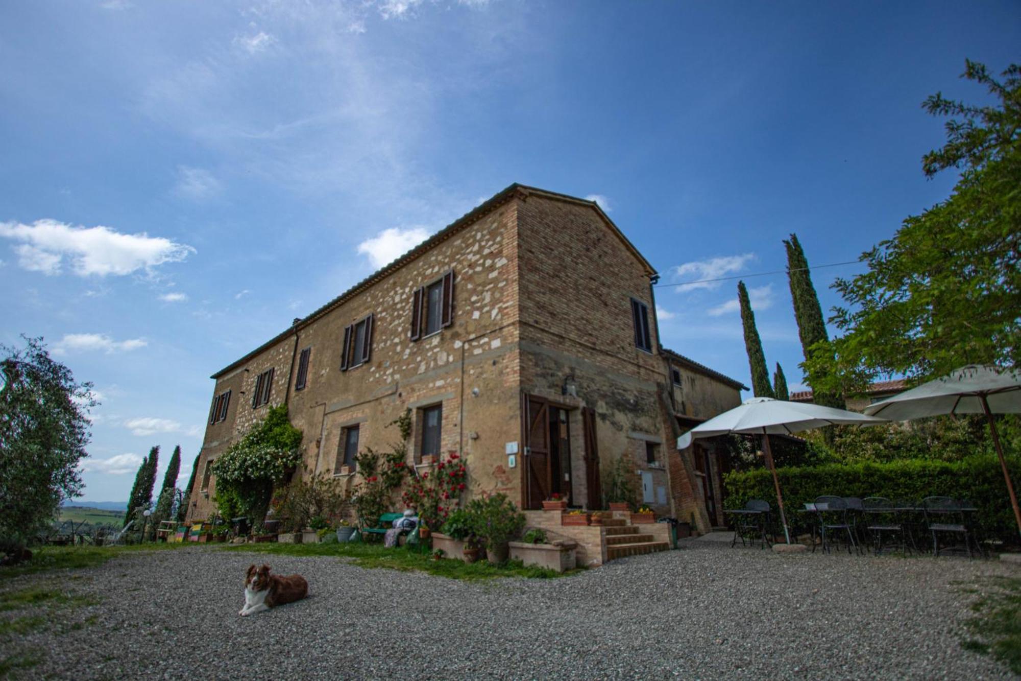 Agriturismo Biofattoria L'Upupa Монтальчино Экстерьер фото